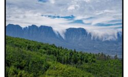 2_CapeTown_333