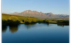 2_CapeTown_135