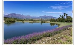 2_CapeTown_27